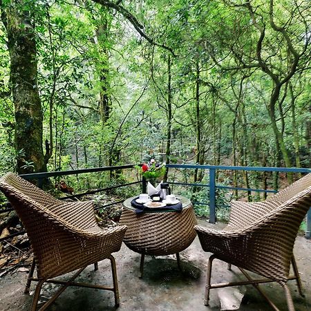 Ayar Jungle Resort 奈尼塔尔 外观 照片