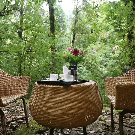 Ayar Jungle Resort 奈尼塔尔 外观 照片