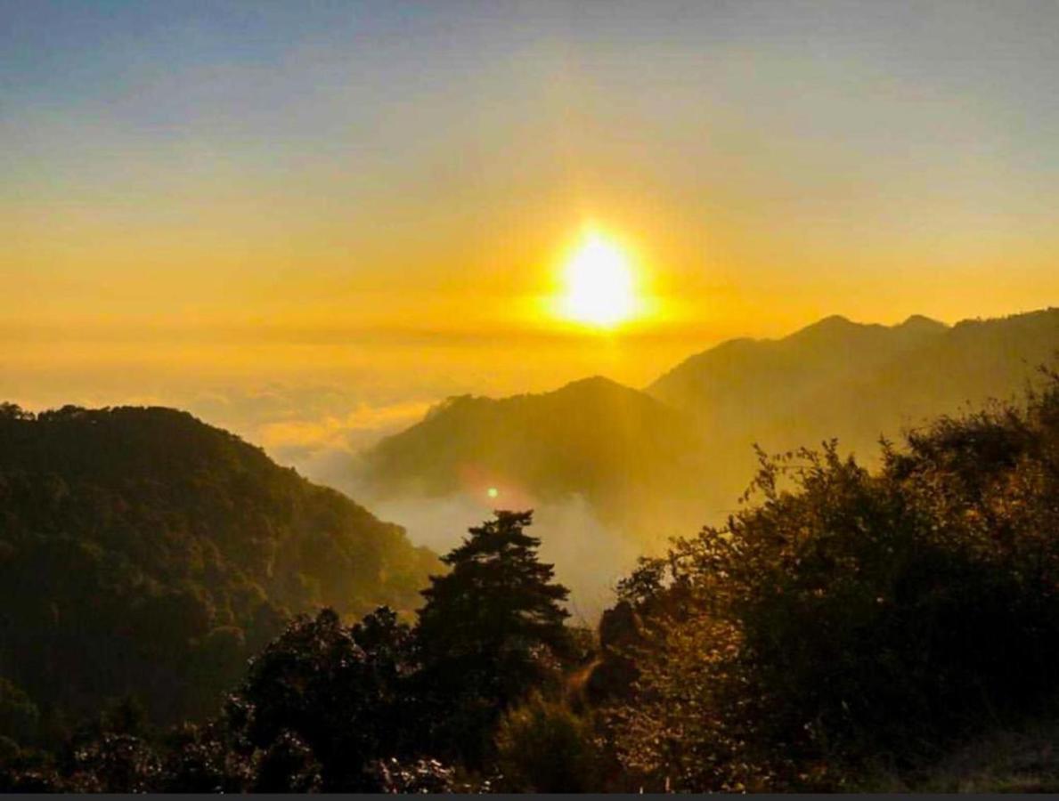 Ayar Jungle Resort 奈尼塔尔 外观 照片