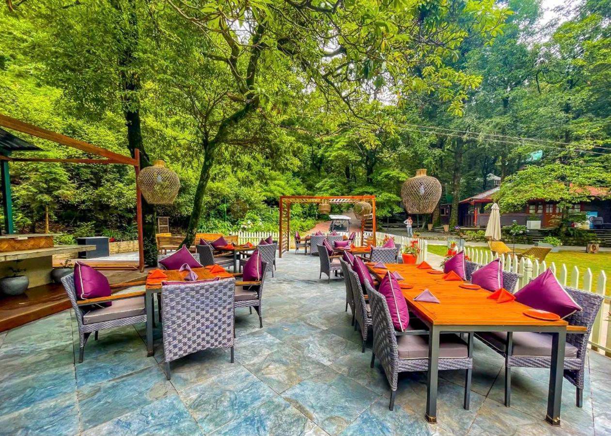 Ayar Jungle Resort 奈尼塔尔 外观 照片