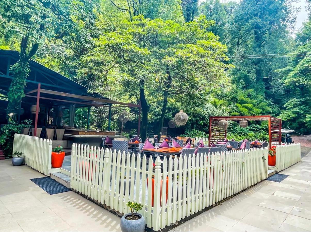 Ayar Jungle Resort 奈尼塔尔 外观 照片