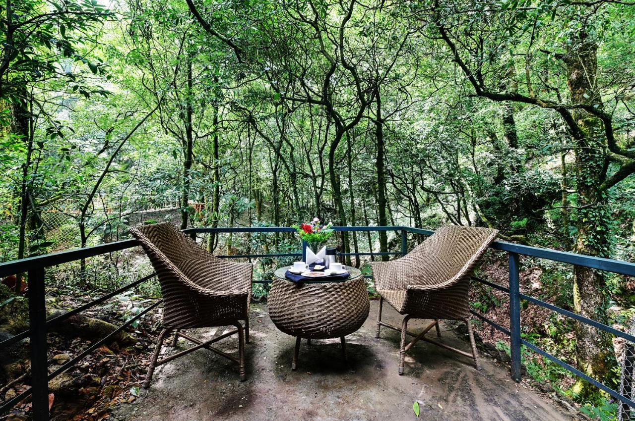 Ayar Jungle Resort 奈尼塔尔 外观 照片