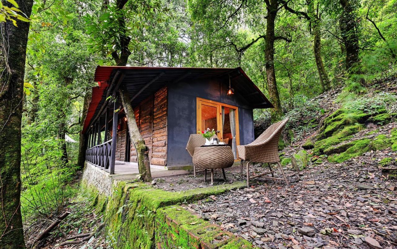 Ayar Jungle Resort 奈尼塔尔 外观 照片