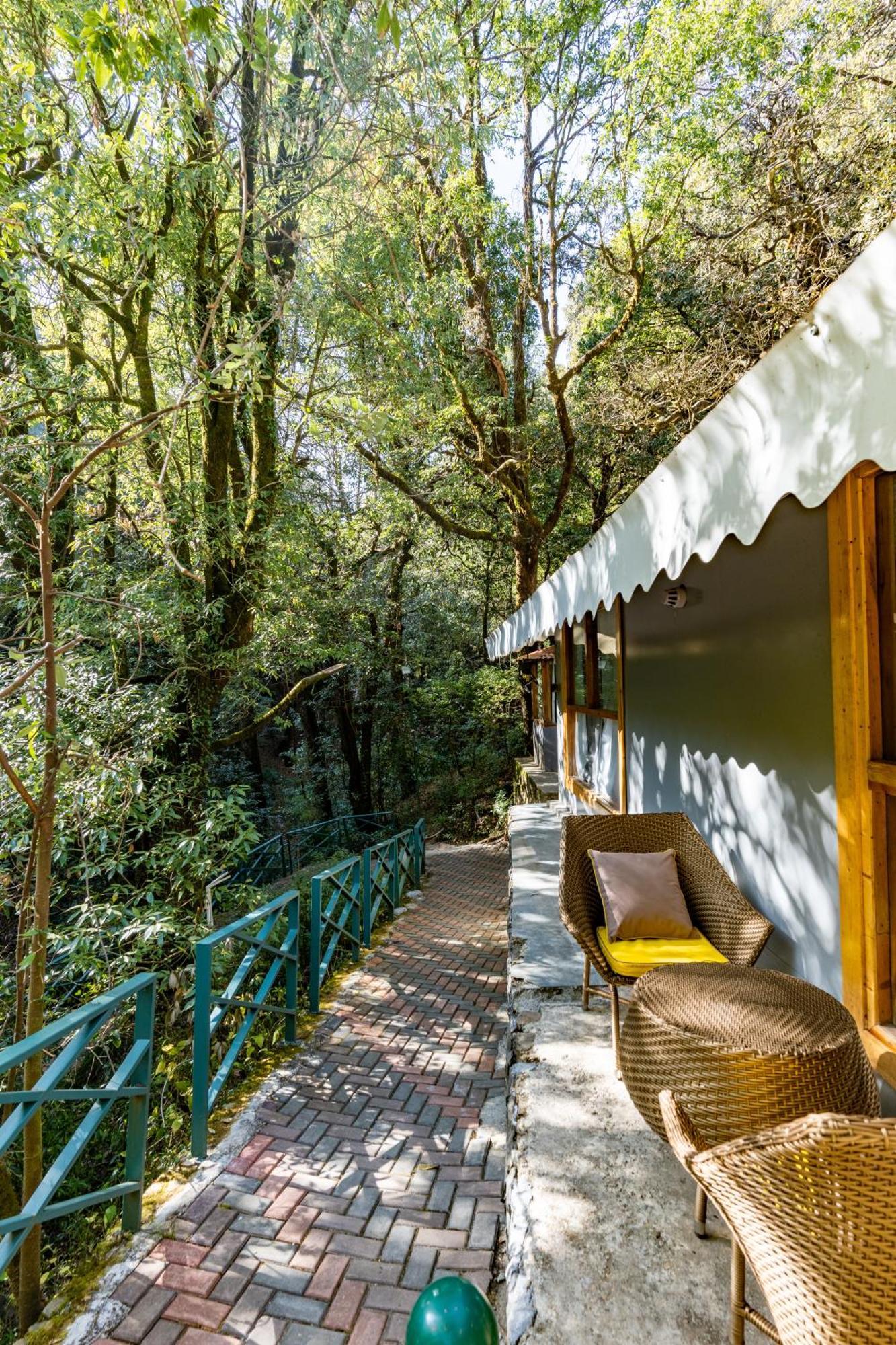 Ayar Jungle Resort 奈尼塔尔 外观 照片