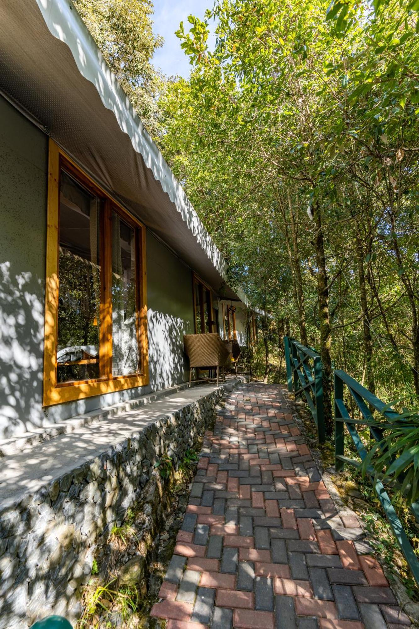 Ayar Jungle Resort 奈尼塔尔 外观 照片