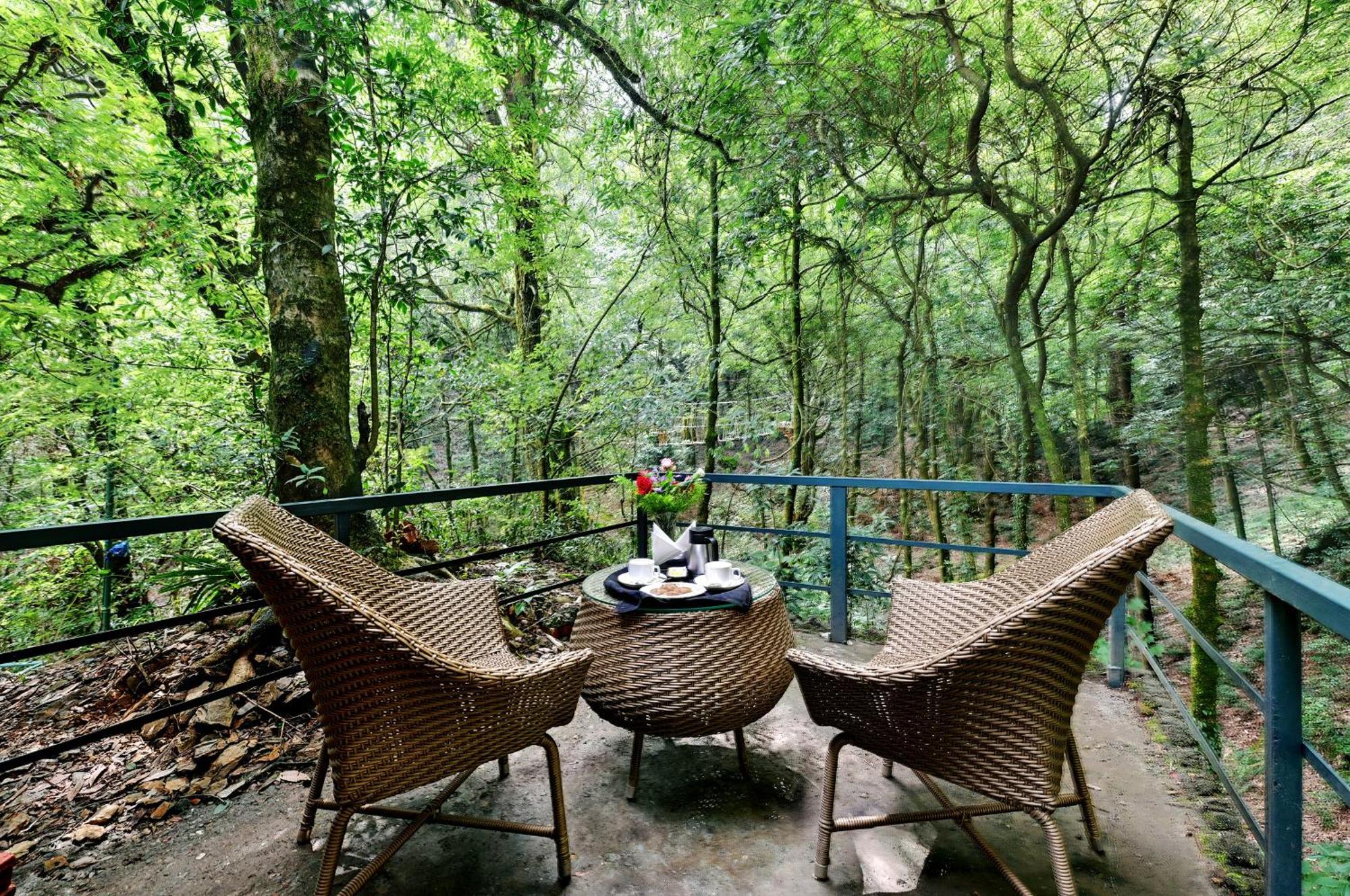 Ayar Jungle Resort 奈尼塔尔 外观 照片