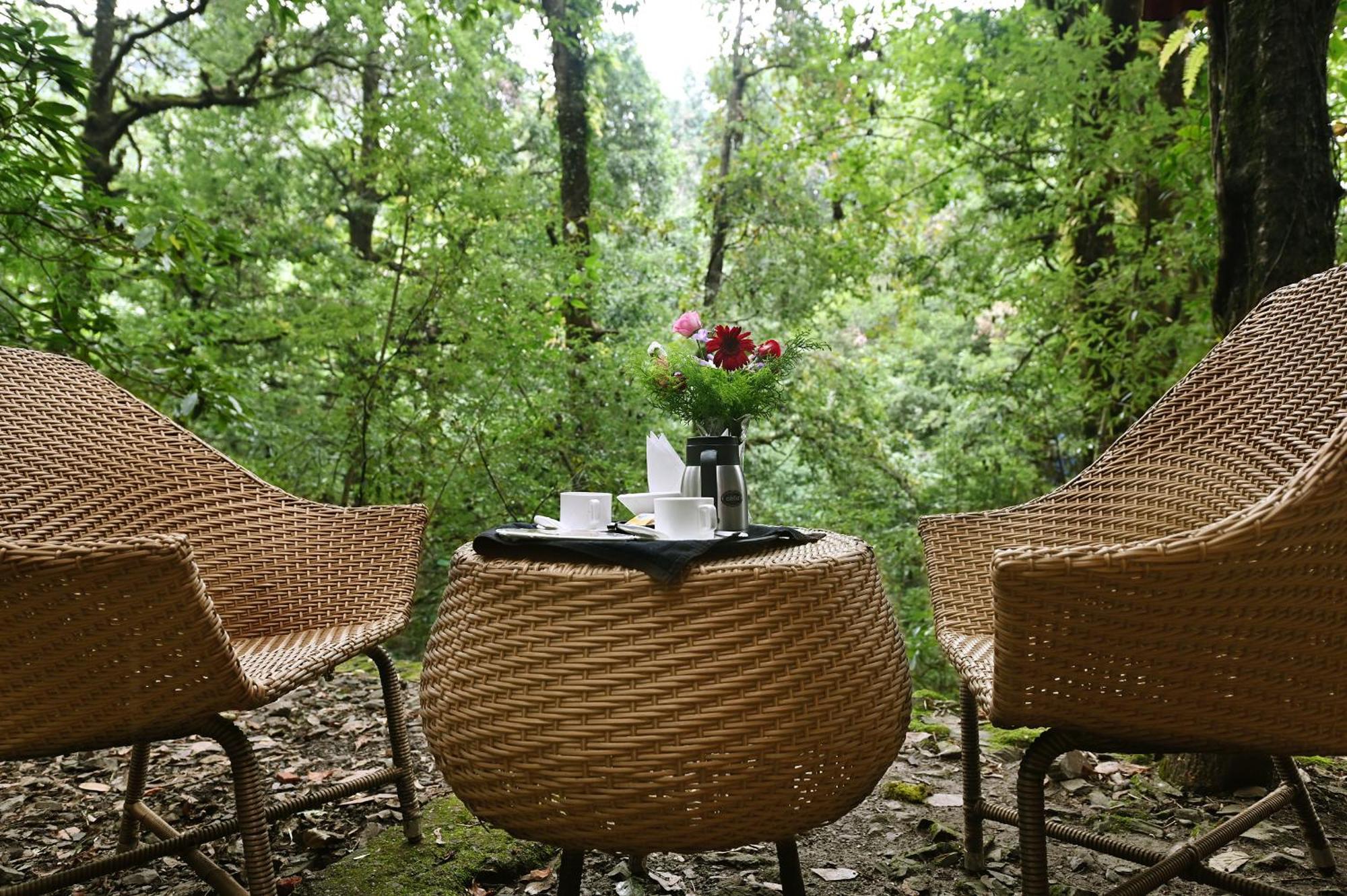 Ayar Jungle Resort 奈尼塔尔 外观 照片